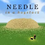 Needle in a Haystack